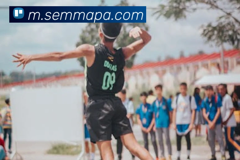 pa视讯服务体系